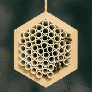 CHA Bee House